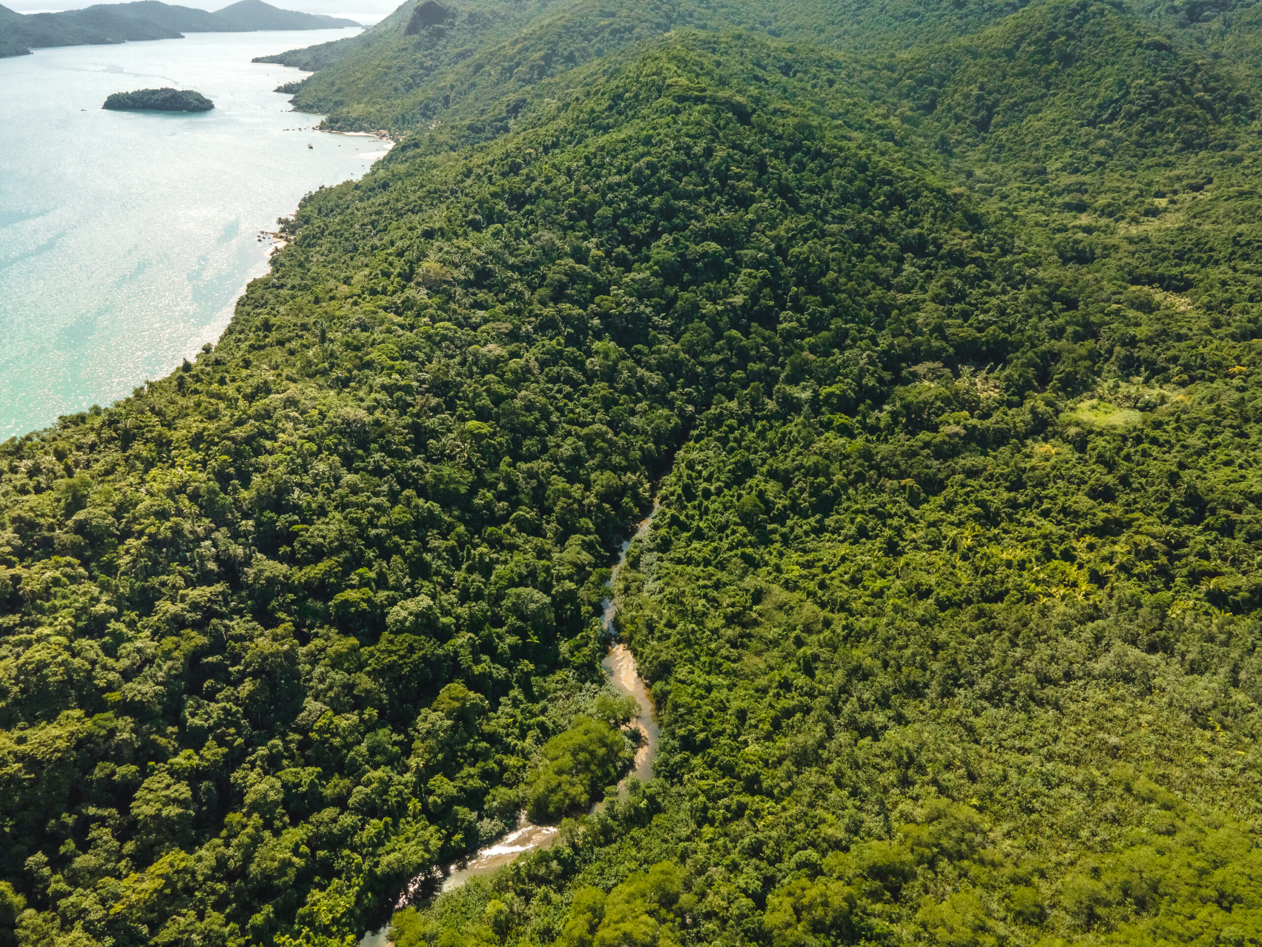 (Português do Brasil) Canoagem