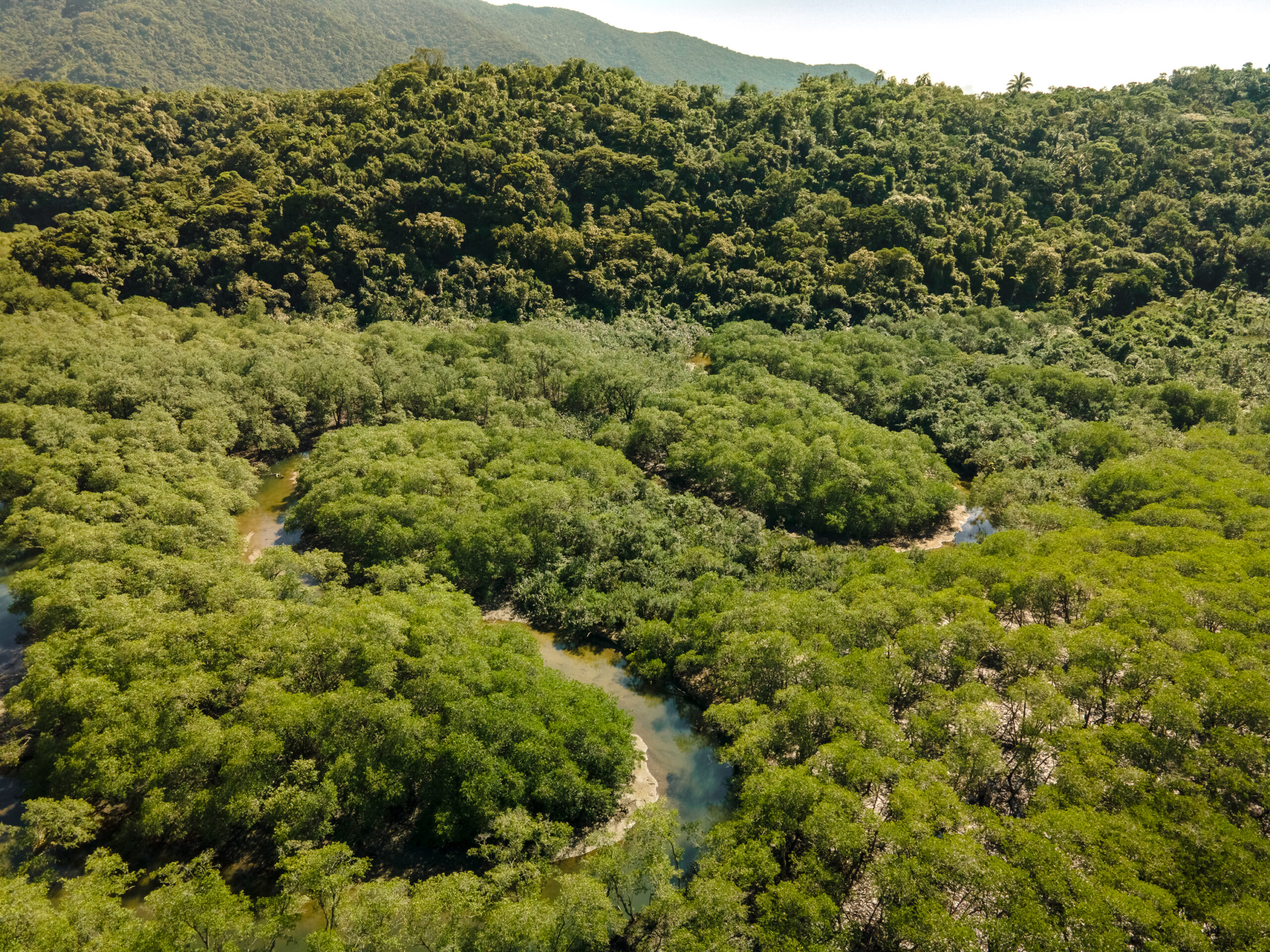 (Português do Brasil) Canoagem