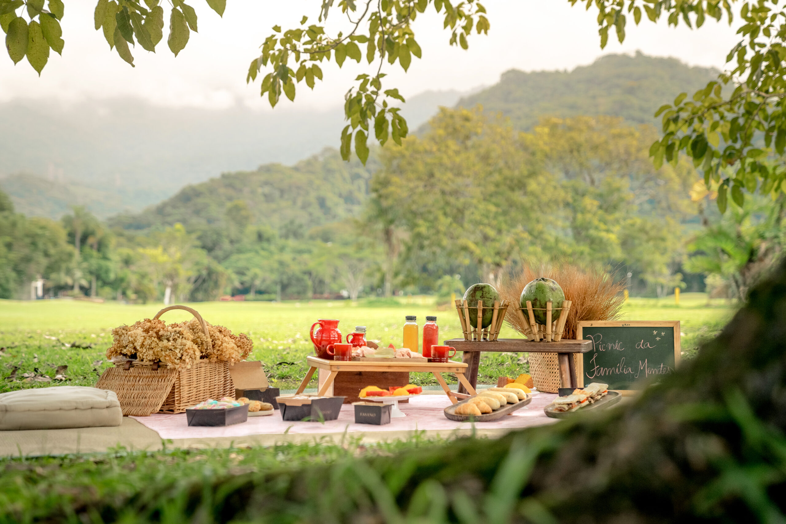 Picnic
