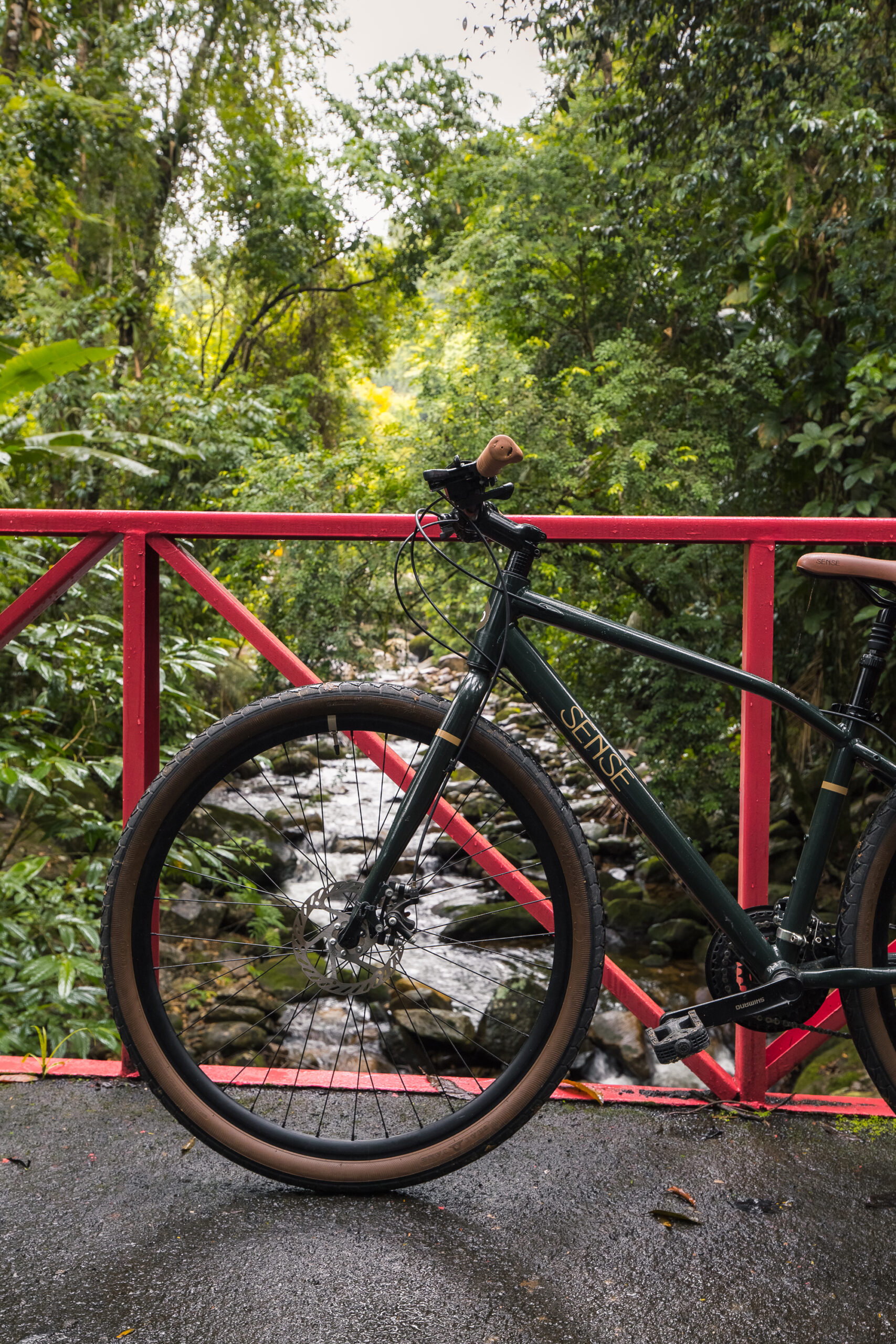 (Português do Brasil) Passeio de Bicicleta