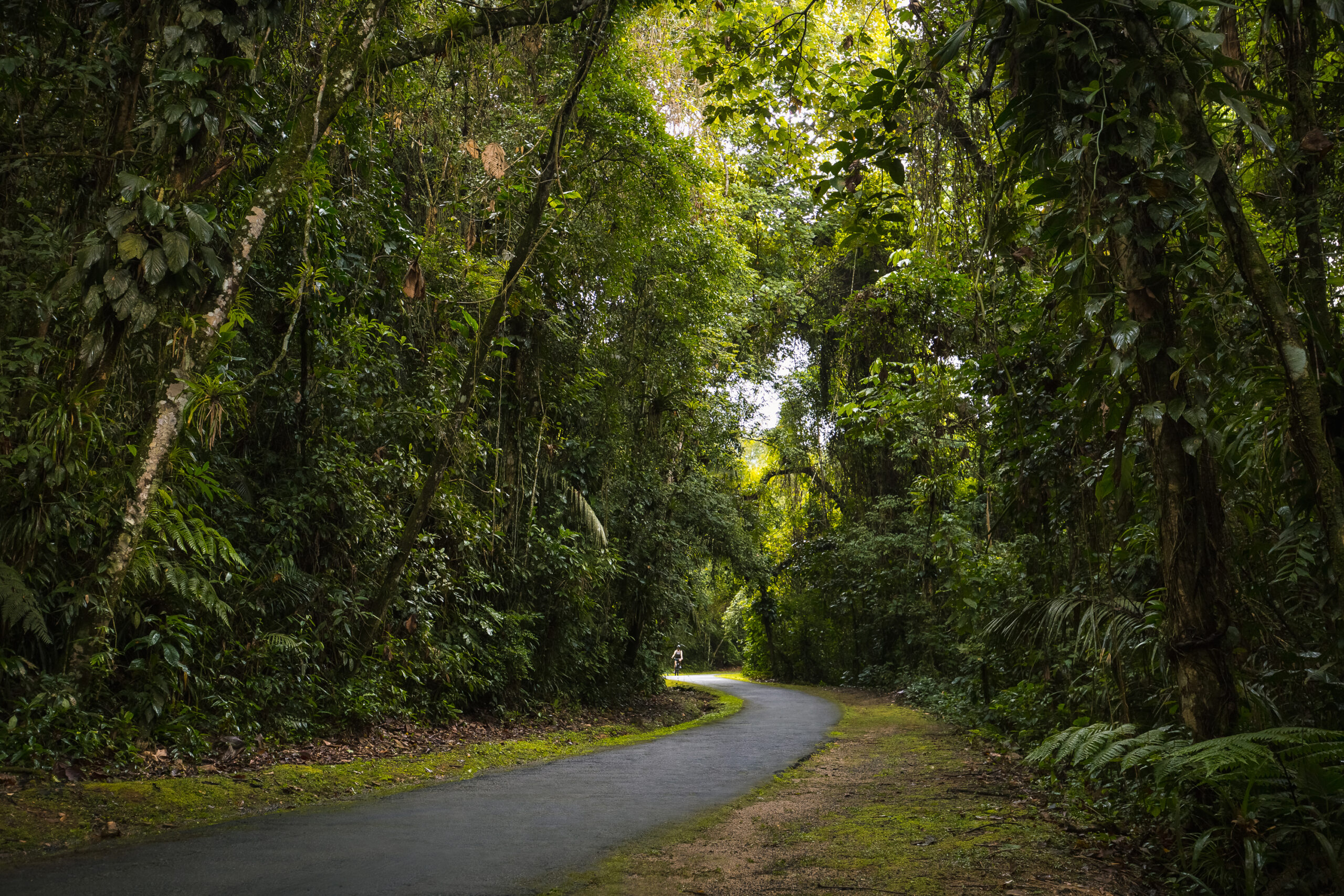 (Português do Brasil) Passeio de Bicicleta