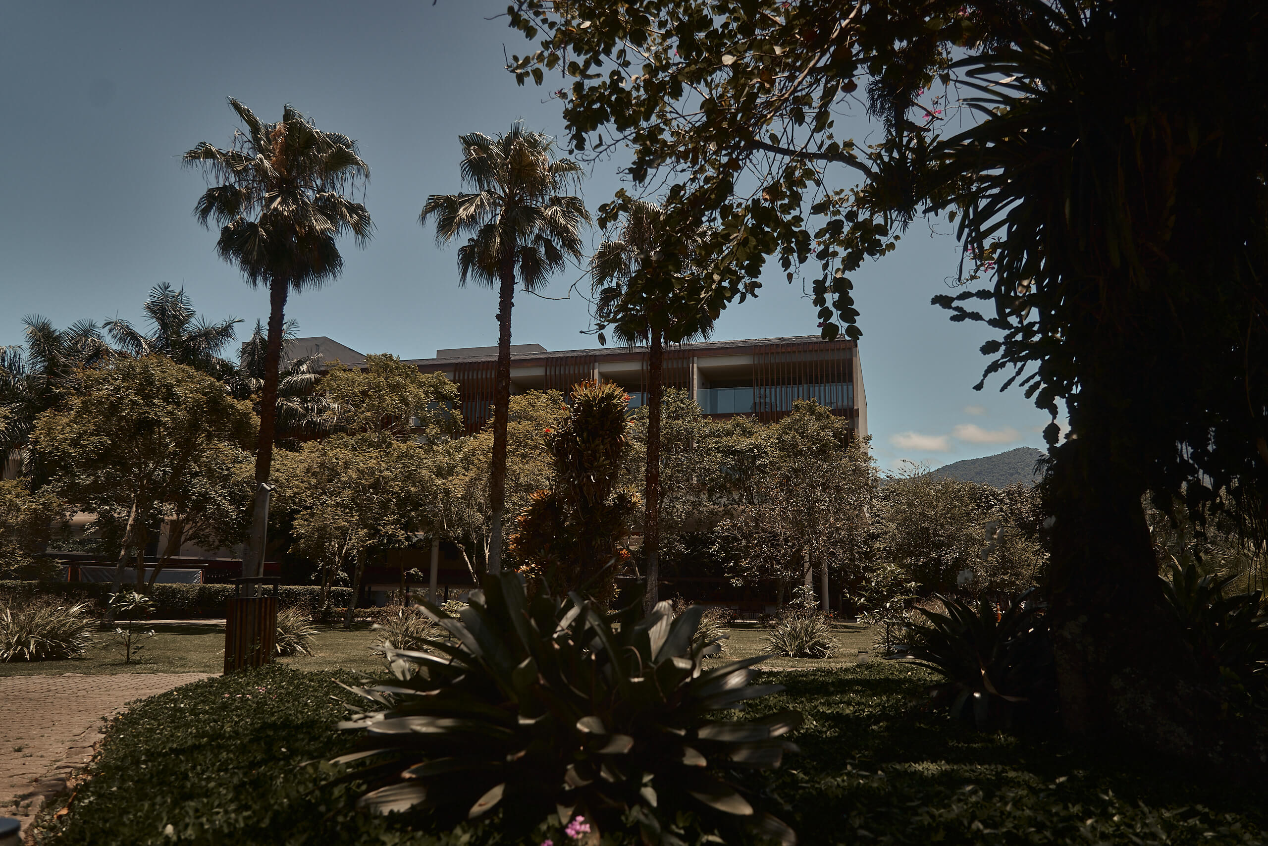 Observação de Aves