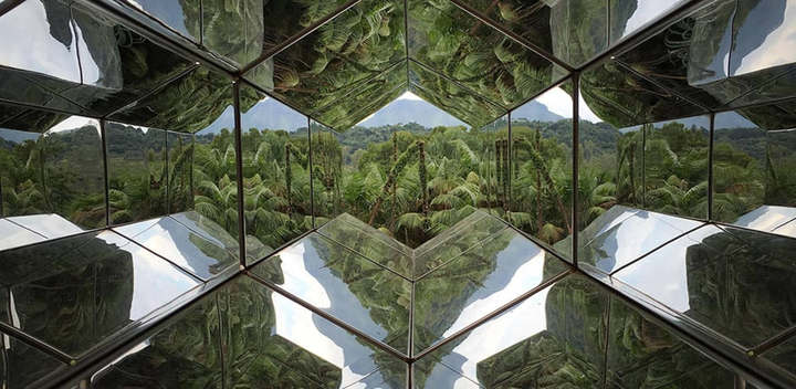 Paisagem de Inhotim, Mata Atlântica